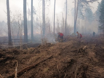 18 уголовных дел возбуждено органами дознания МЧС России по фактам лесных пожаров