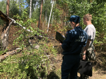 Четыре уголовных дела по фактам лесных пожаров направлено в суд дознавателями МЧС России