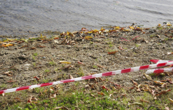 В городе Черемхово Иркутской области завершены поиски подростка, пропавшего на озере