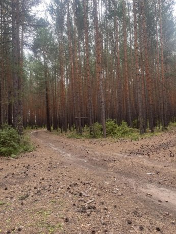 Инициативный проект «Беговое пространство» (устройство беговой дорожки в парке п.Усть-Уда для активного отдыха)
