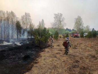 Три населенных пункта спасены от перехода лесных пожаров в Иркутской области прошлой ночью