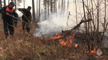 В Иркутской области установлены семь граждан, виновных в возникновении природных пожаров