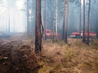 Село Буря в Зиминском районе спасено от угрозы перехода лесного пожара